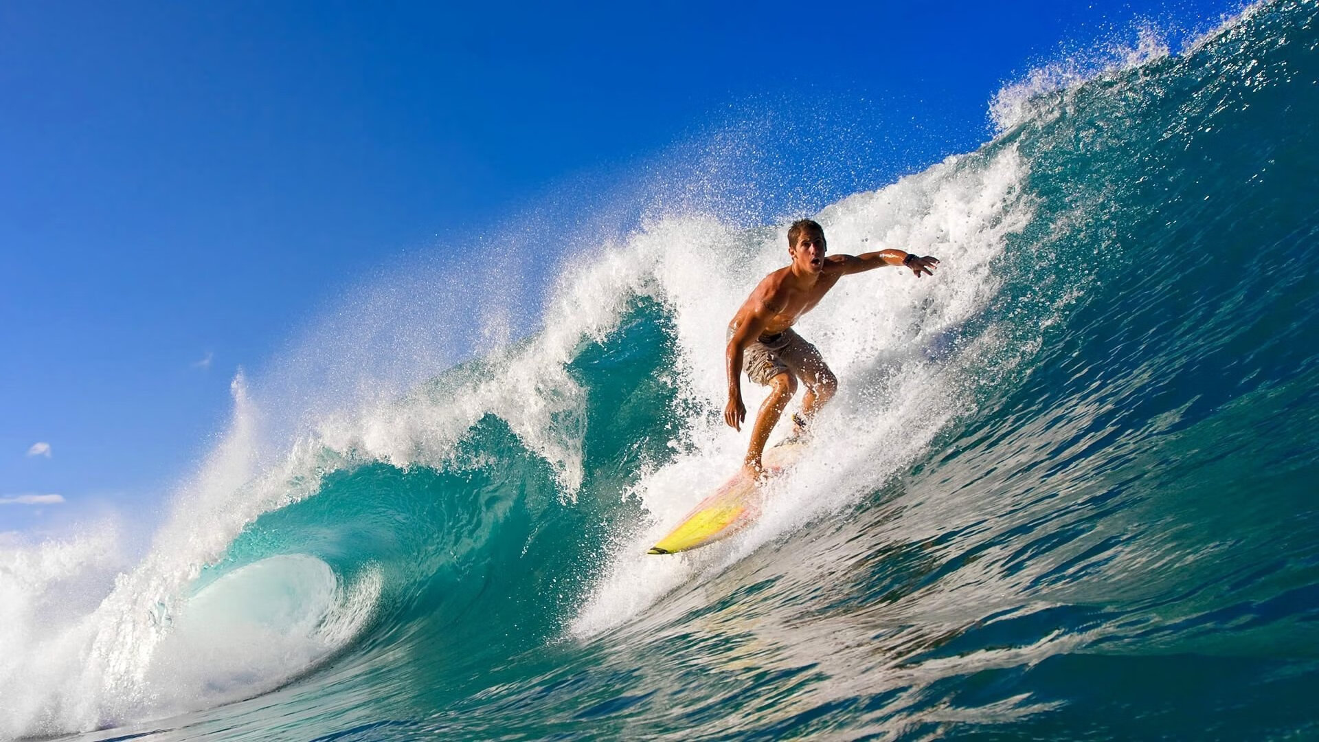 旗下足球俱乐部成立绿色能源基金